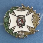 Pin Colegio Oficial de Enfermería Málaga